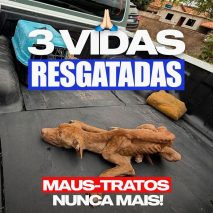 WhatsApp Image 2025-09-09 at 15.27.53